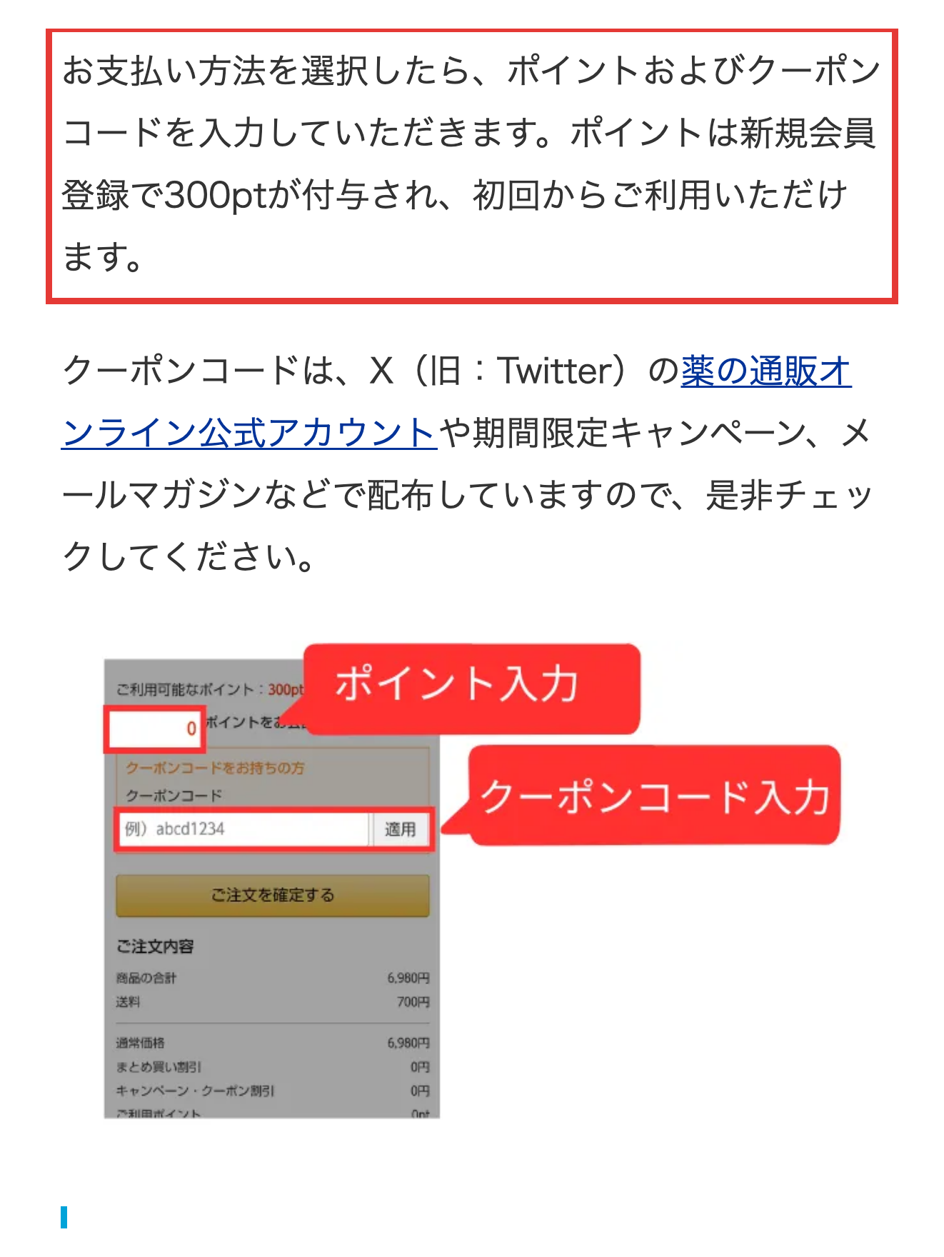 お買い物ガイドSTEP6のポイント・クーポンコード入力欄の案内